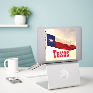 Vintage Texas-Flag-Aufkleber im rustikalen Stil Aufkleber