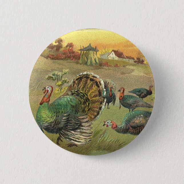 Vintage Thanksgiving mit Truthähnen und Pilgern Button (Vorderseite)