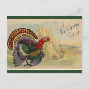 Vintage Thanksgiving Truthähne und Heuschober Postkarte