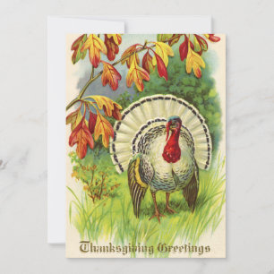 Vintage Thanksgiving Turkey Feiertagskarte
