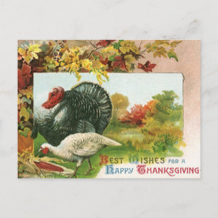 Vintage-Thanksgiving, wilde Truthähne Herbstfarben Feiertagspostkarte