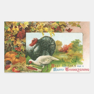 Vintage Thanksgiving, wilde Truthähne Herbstfarben Rechteckiger Aufkleber