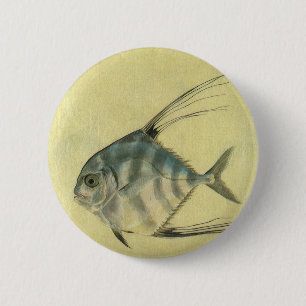 Vintage Threadfin Trevally, afrikanischer Pompano Button