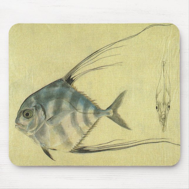 Vintage Threadfin Trevally, afrikanischer Pompano  Mousepad (Vorne)