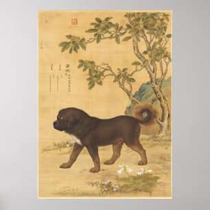 Vintage Tibet-Mastiff Kaiserliche Chinesische Kuns Poster