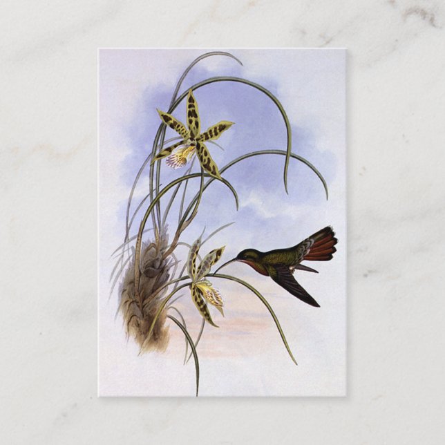 Vintage Tiere, Hummingbird Bird Orchid-Blume Visitenkarte (Vorderseite)