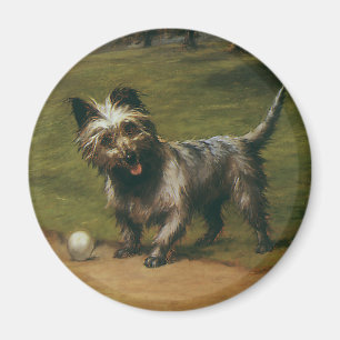 Vintage-Tiere Hunde, süßer schottischer Terrier-We Magnet