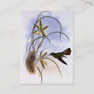 Vintage-Tiere, Kolibri-Vogel-Orchideen-Blumen Visitenkarte