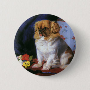 Vintage Tiere, Spielzeug-Pekingese Welpenhund Button