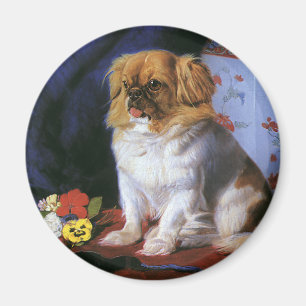 Vintage Tiere, Spielzeug-Pekingese Welpenhund Magnet