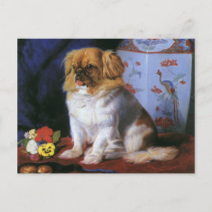Vintage Tiere, Spielzeug-Pekingese Welpenhund Postkarte