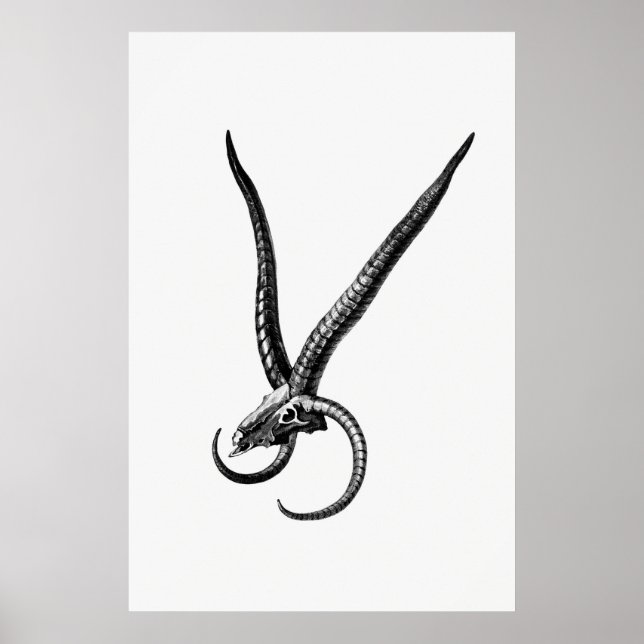 Vintage Tierschäume Poster (Vorne)