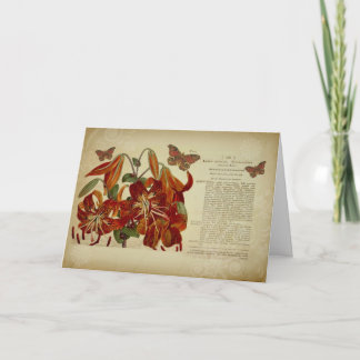 Vintage Tiger-Lilien-botanische Illustration Karte