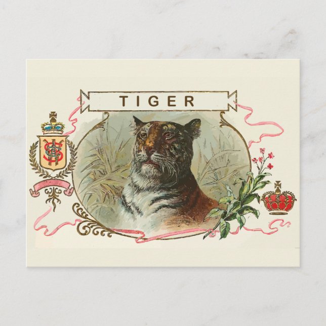 Vintage Tiger Postkarte (Vorderseite)
