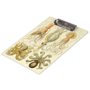 Vintage-Tintenfisch Gamochonia von Ernst Haeckel Klemmbrett