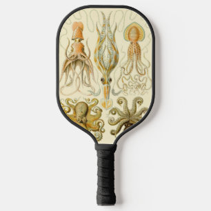 Vintage-Tintenfisch Gamochonia von Ernst Haeckel Pickleball Schläger