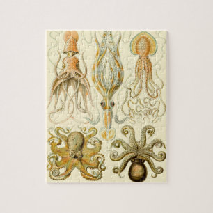 Vintage-Tintenfisch Gamochonia von Ernst Haeckel Puzzle