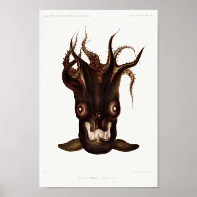 Vintage Tintenfisch-/Kraken-Illustration Poster (Vorne)