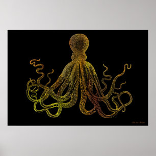 Vintage Tintenfische in Schwarz und Gold Poster