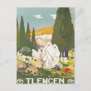 Vintage Tlemcen Algerien Postkarte