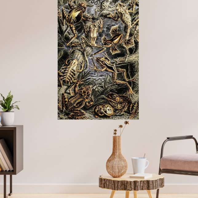 Vintage Toads und Frösche von Ernst Haeckel Poster (Wohnzimmer 3)