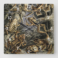 Vintage Toads und Frösche von Ernst Haeckel