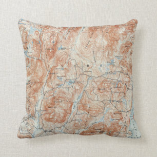 Vintage-Topografische Karte von Schroon Lake, New Kissen