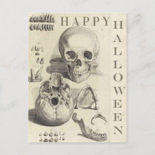Vintage Totenköpfe Frohes Halloween Feiertagspostkarte