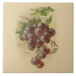 Vintage Trauben Fliese