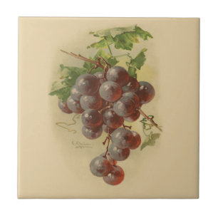 Vintage Trauben Fliese