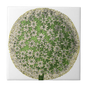 Vintage Träume - Lüster Fliese