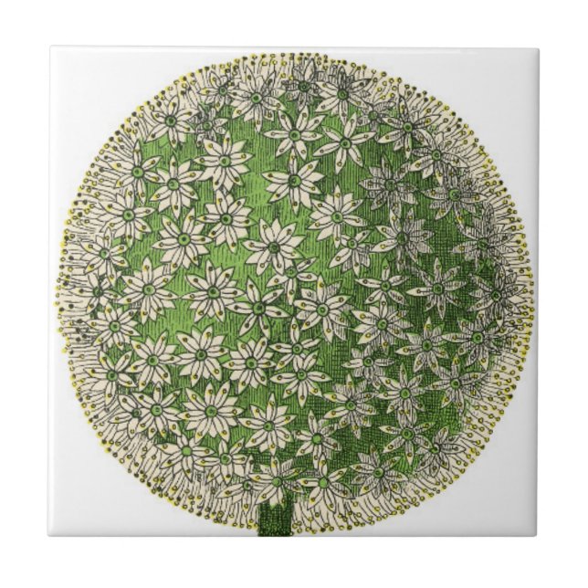 Vintage Träume - Lüster Fliese (Vorderseite)