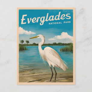 Vintage Travel Florida Everglades Natur Postkarte