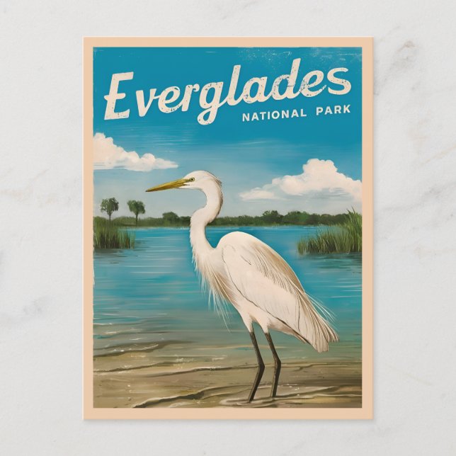 Vintage Travel Florida Everglades Natur Postkarte (Vorderseite)