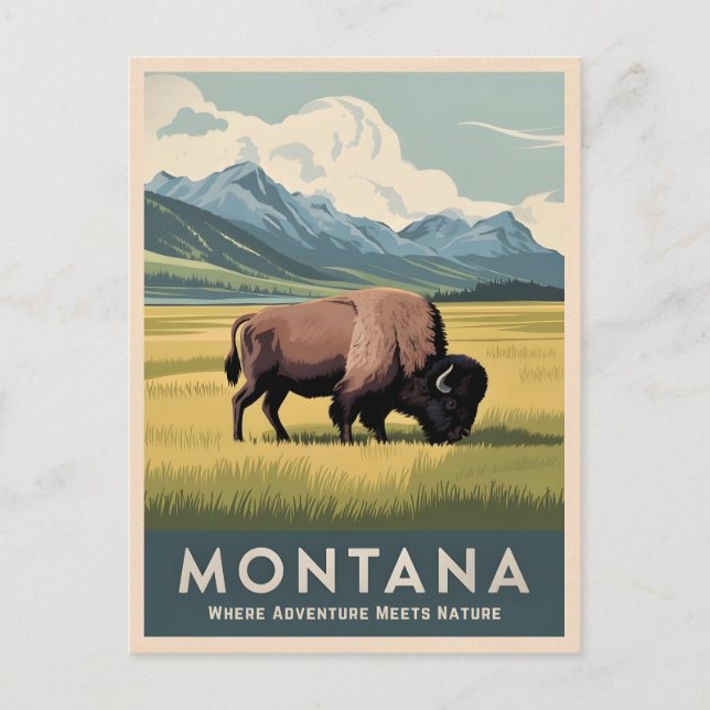 Vintage Travel Montana Bison Wildlife Landschaftli Postkarte (Vorderseite)