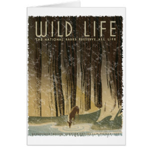Vintage Travel Poster - Wildlife circa 1934