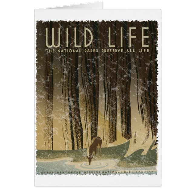 Vintage Travel Poster - Wildlife circa 1934 (Vorne)