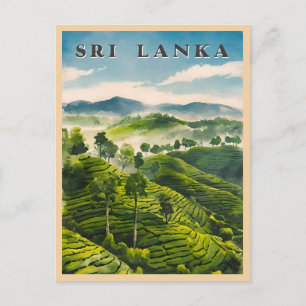 Vintage Travel Sri Lanka Ceylon Tea Plantation Postkarte