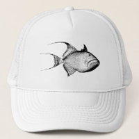 Vintage Triggerfisch-Antiken-hawaiischer