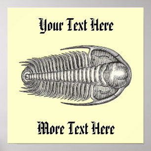Vintage Trilobite Poster