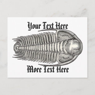 Vintage Trilobite Postkarte