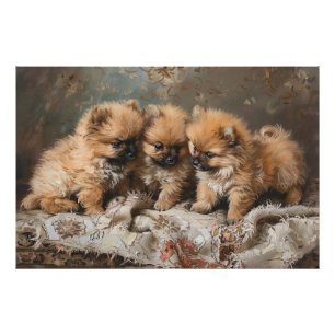 Vintage-Trio von Pomeranian-Welpen Fotodruck