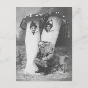Vintage-Trollkostüm im viktorianischen Stil und Pi Postkarte