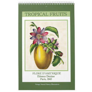 Vintage tropische Früchte 2024 Kalender