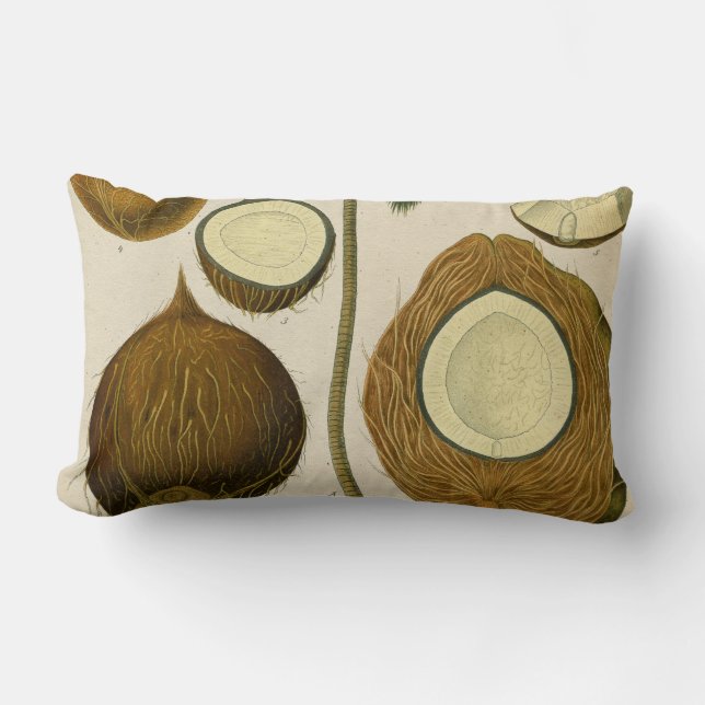 Vintage tropische Kokosnuss Lendenkissen (Vorderseite)