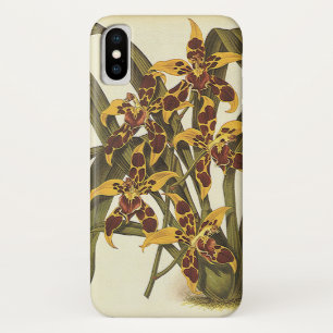 Vintage tropische Odontoglossum Orchid-Blume iPhone X Hülle