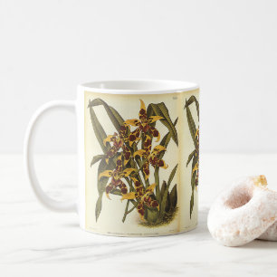 Vintage tropische Odontoglossum Orchid-Blume Kaffeetasse