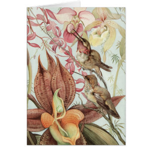 Vintage tropische Orchideen, Blumen und Kolibris