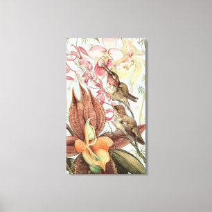 Vintage tropische Orchideen, Blumen und Kolibris Leinwanddruck