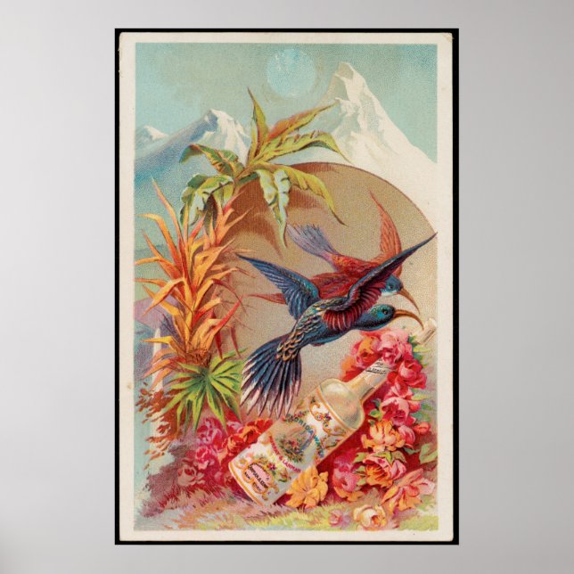 Vintage Tropische Vögel Florida Wasserwerbung Poster (Vorne)